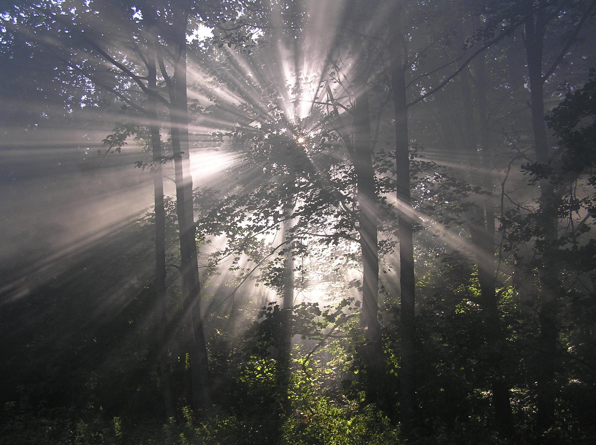 Karštejn 2006 Image 17