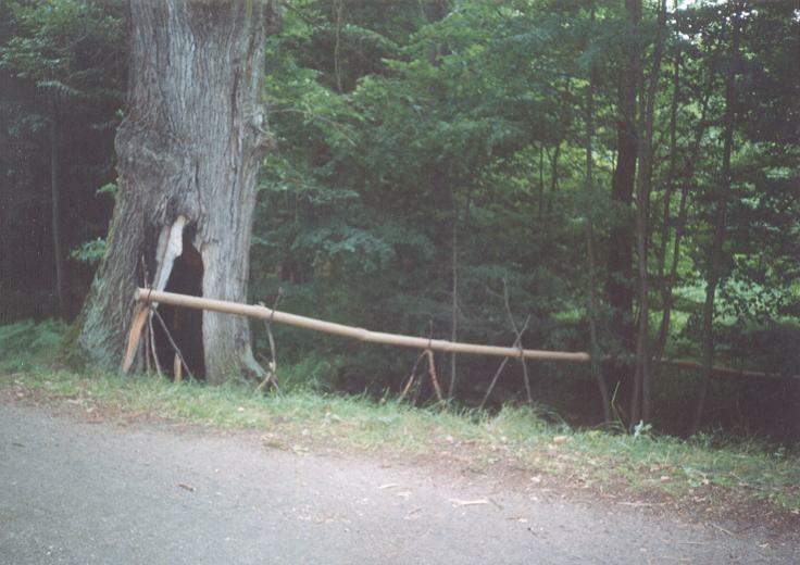 Karštejn 2001 Image 2