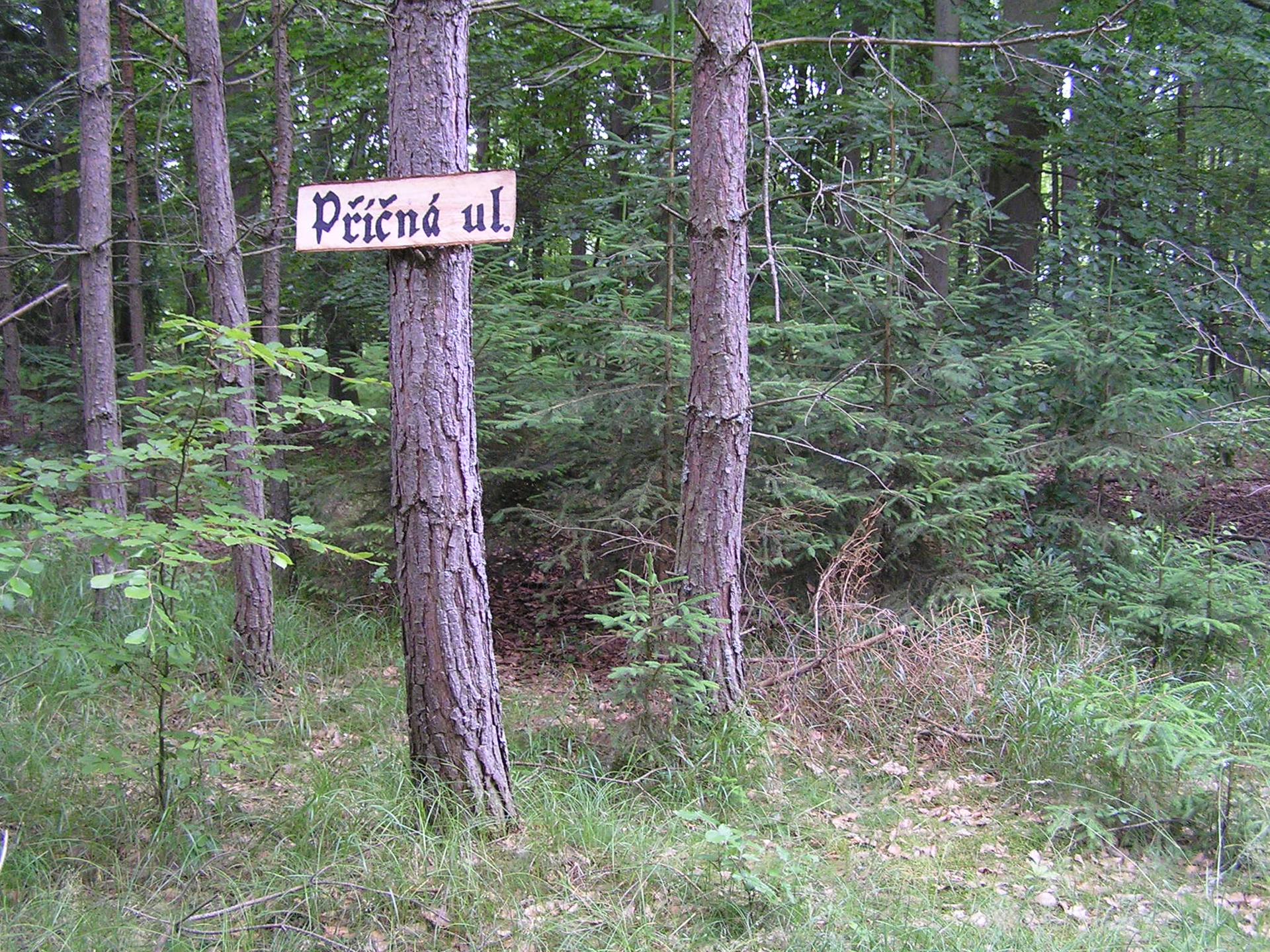 Karštejn 2006 Image 6