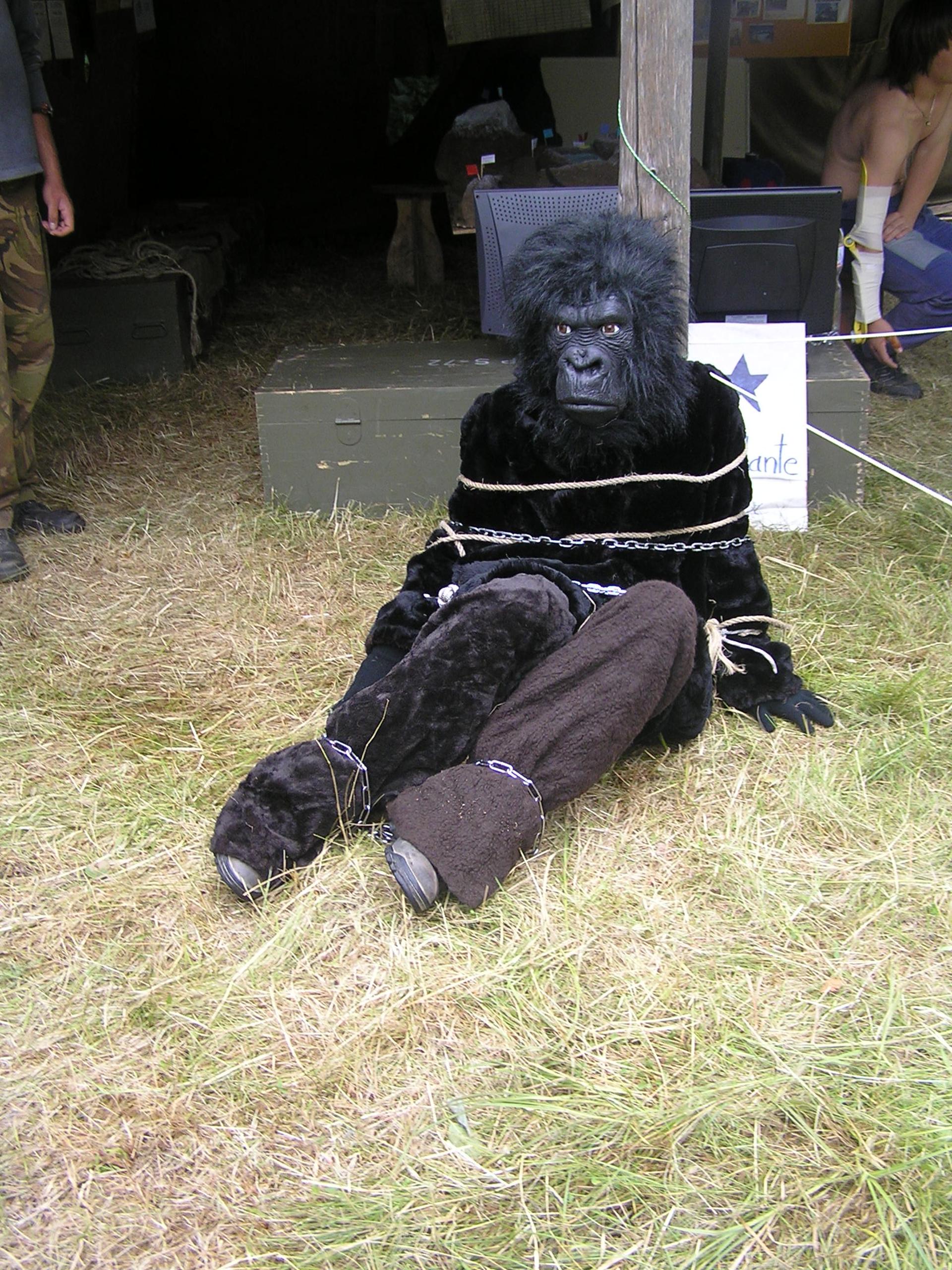 Karštejn 2007 Image 17