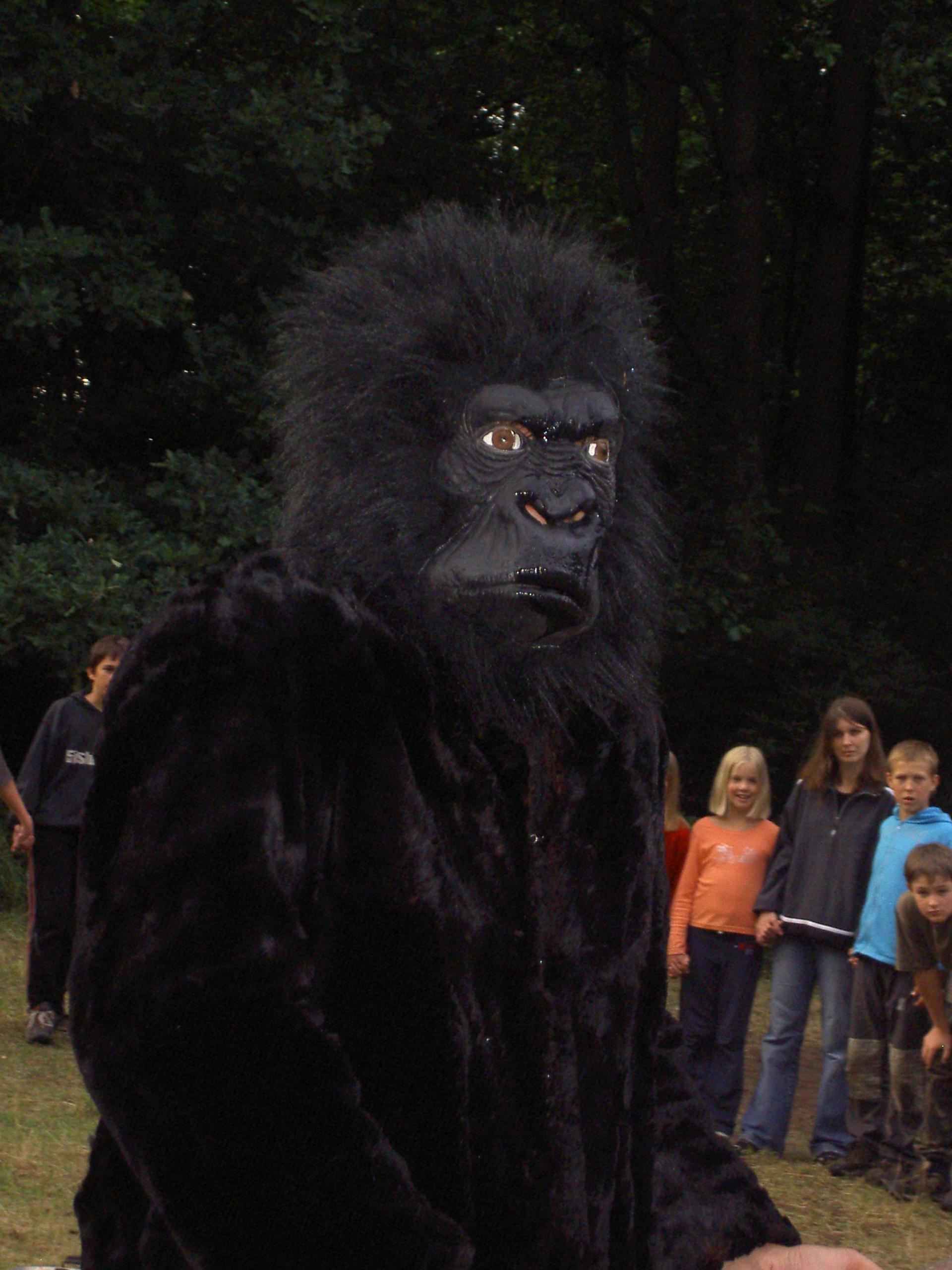 Karštejn 2007 Image 63