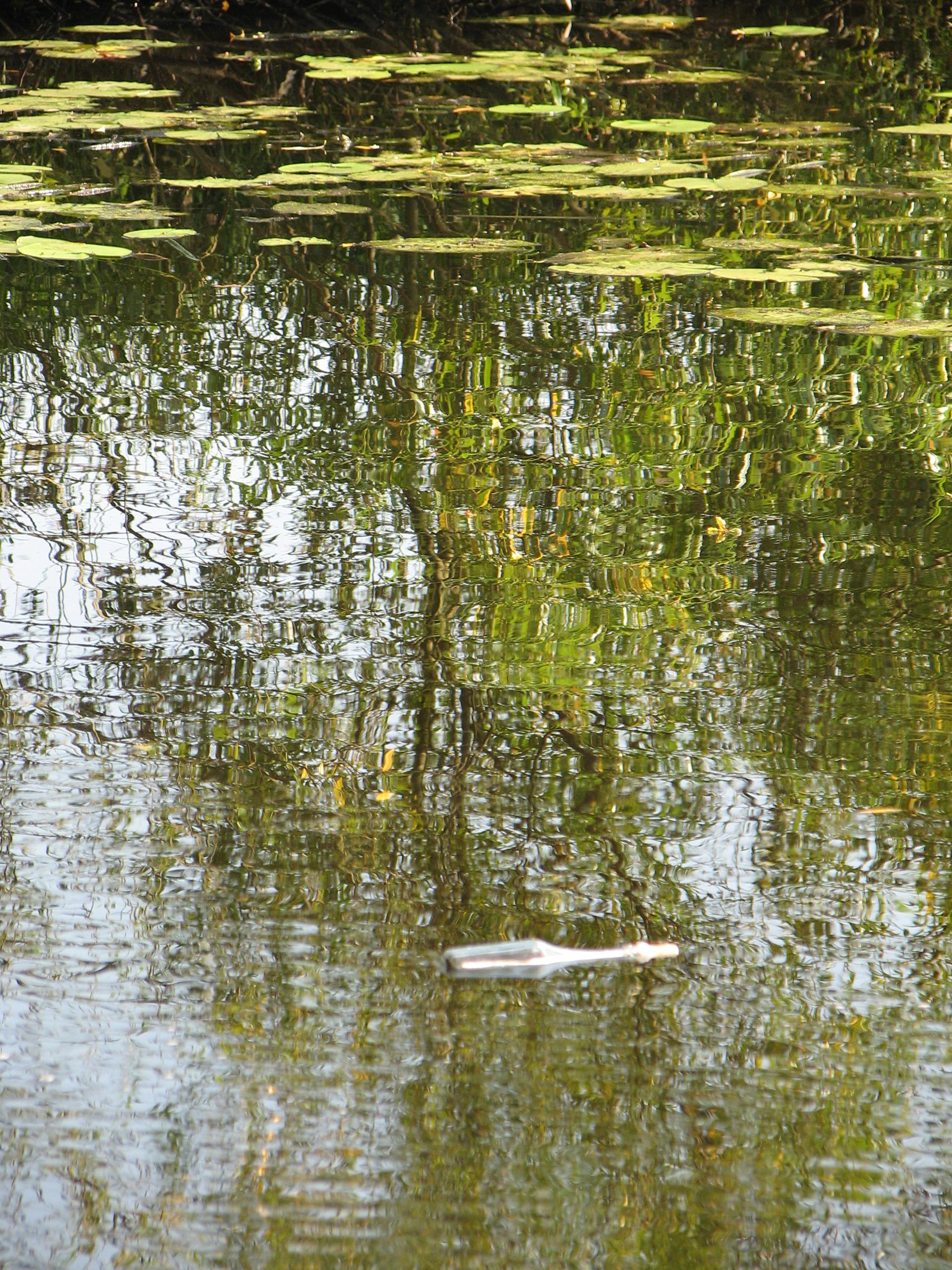 Karštejn 2009 Image 151