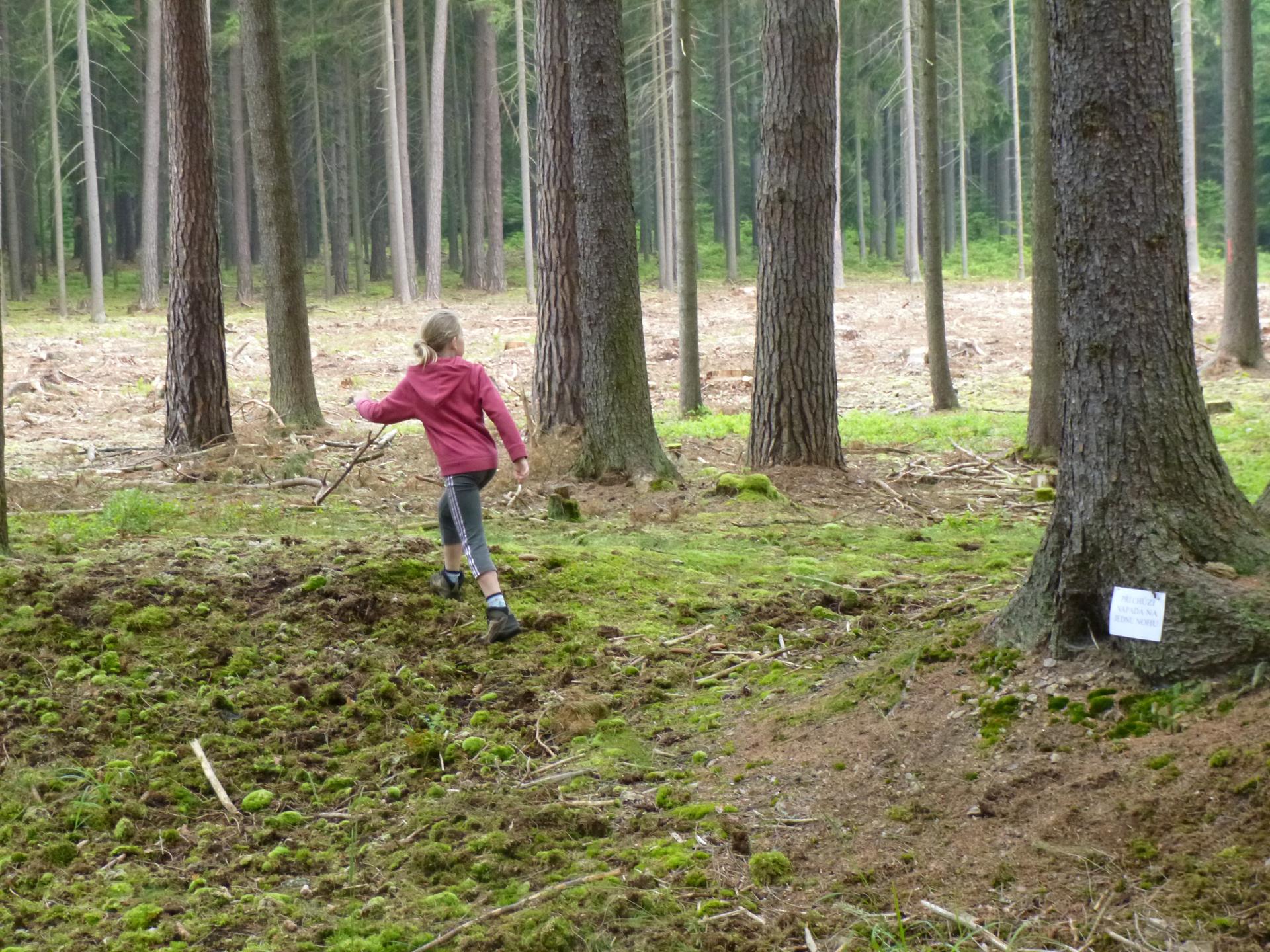 Karštejn 2013 Image 50