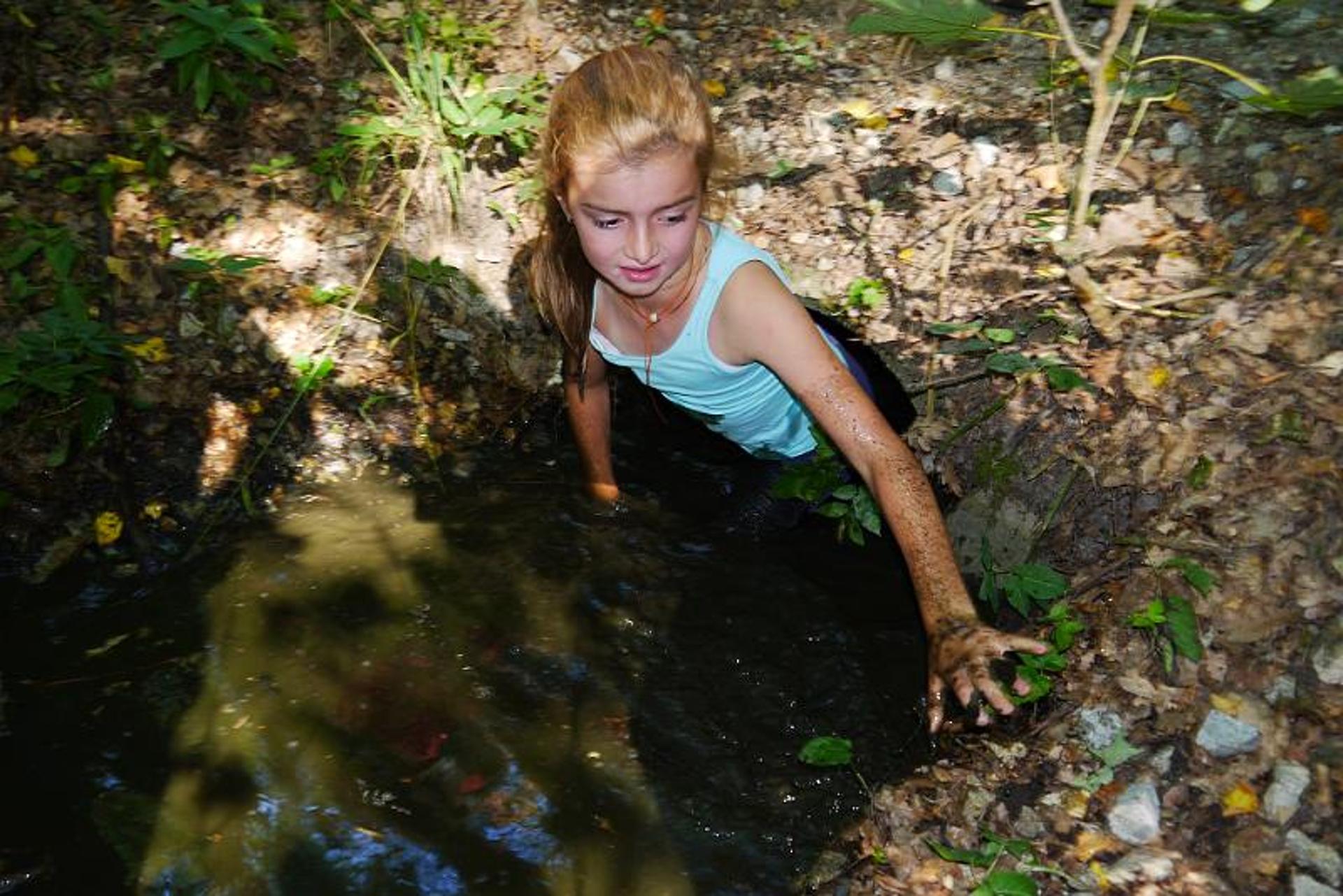 Karštejn 2017 Image 134