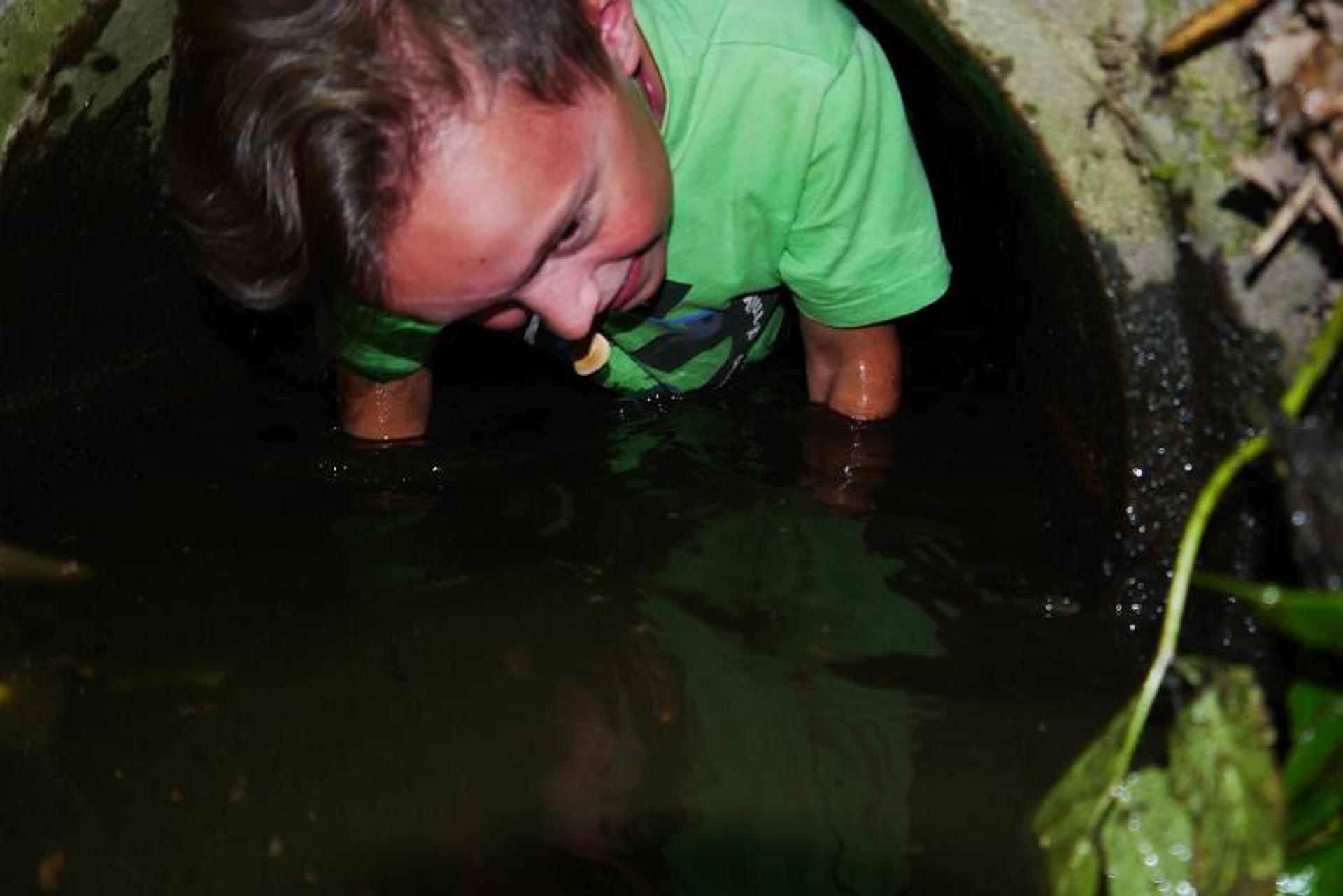 Karštejn 2017 Image 139