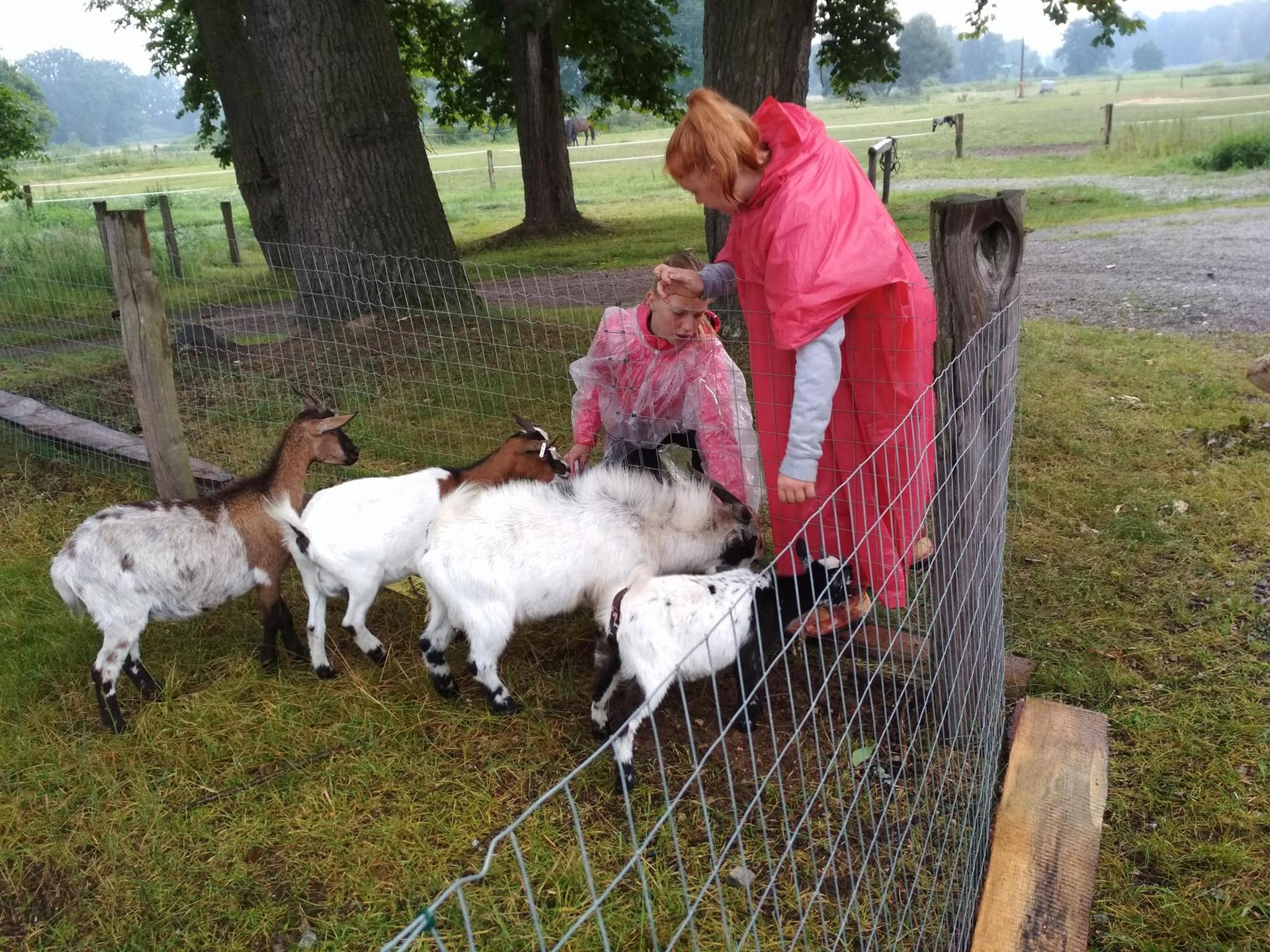 Karštejn 2018 Image 84