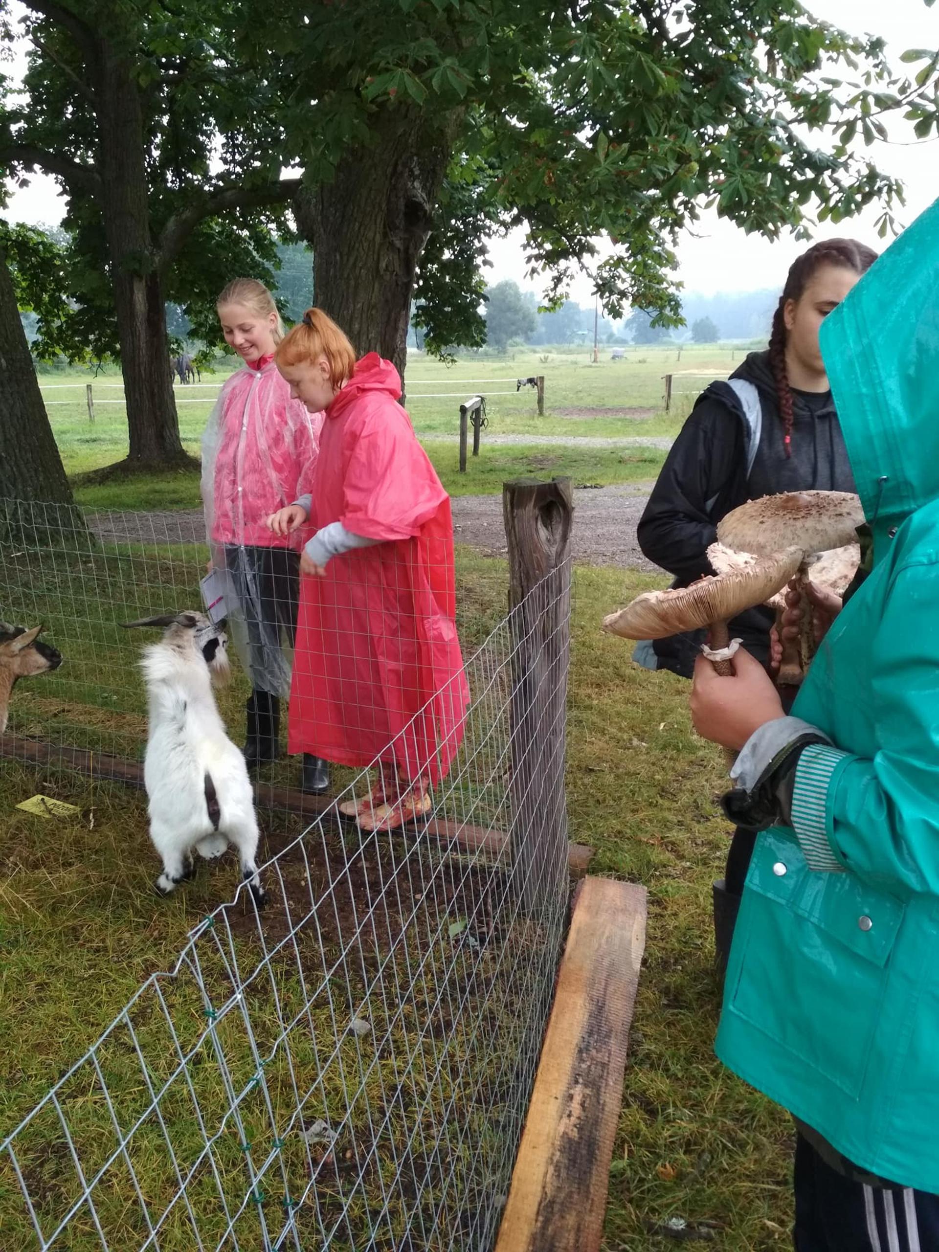 Karštejn 2018 Image 95